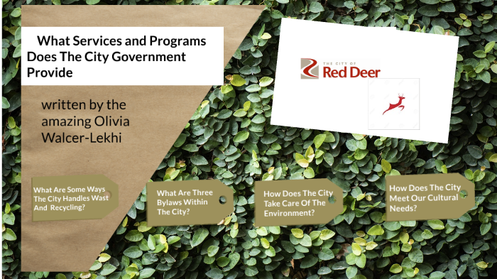 Local Government Services Project by Olivia Walcer on Prezi
