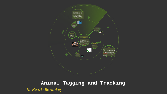 Animal Tagging and Tracking by Mckenzie Browning on Prezi