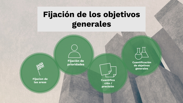 Fijacion de objetivos generales