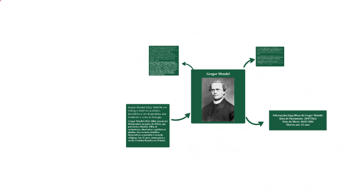 Biografia De Gregor Mendel By Vinicius Besteti