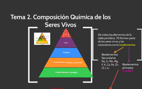 Composicion Quimica De Los Seres Vivos