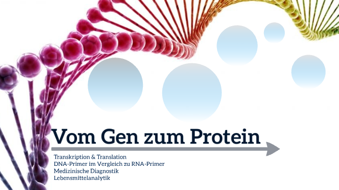 Vom Gen zum Protein by Fabian Kirchler