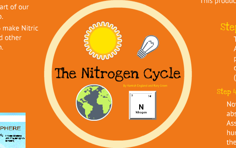 The Nitrogen Cycle by Hamish England on Prezi