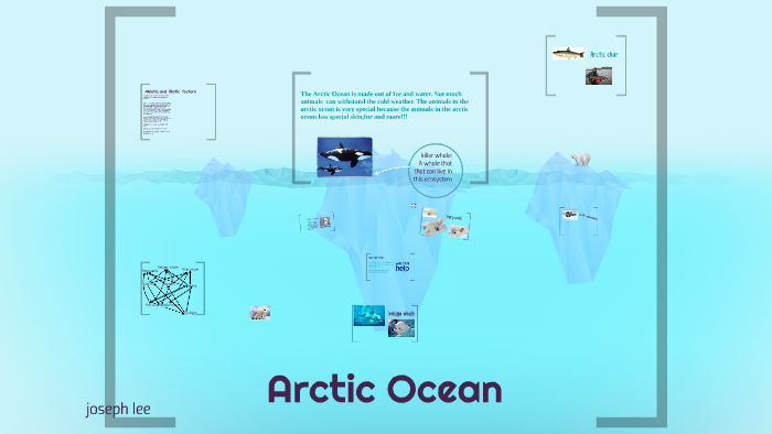 THE ARTIC OCEAN by babababababab lee on Prezi