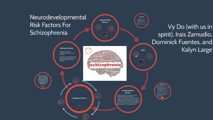 neurodevelopmental-risk-factors-for-schizophrenia-by-kalyn-large