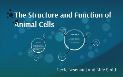 The Structure and Function of Animal Cells by Mary Smith on Prezi