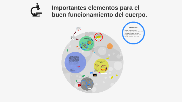 Importantes elementos para el buen funcionamiento del cuerpo by Carla