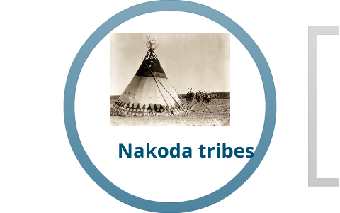 nakoda tribe by gavin house on Prezi