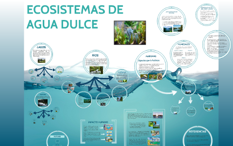 Top 118 + Imagenes del ecosistema de agua dulce - Theplanetcomics.mx