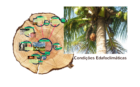 Condições Edafoclimáticas by WILKSON SILVA on Prezi
