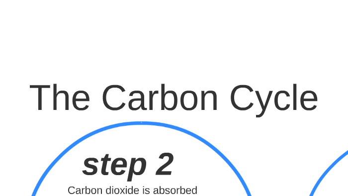 The Carbon Cycle by Trey Streets on Prezi