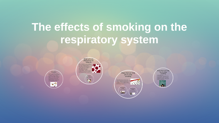 The effects of smoking on the respiratory system by Luis Miguel ...