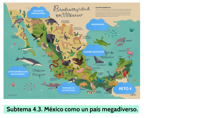 TEMA 4.Subtema 4.3. México como país megadiverso. by Ariadna Santa Anna