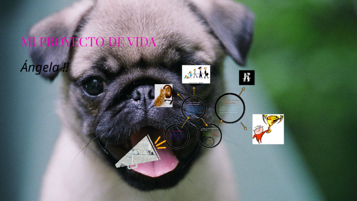 MI PROYECTO DE VIDA by angela p muñoz triana on Prezi