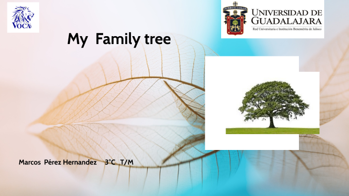 My Family tree by MARCOS PEREZ HERNANDEZ on Prezi