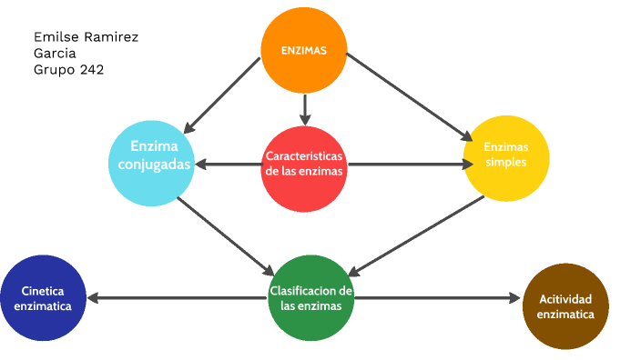 Mapa conceptual enzimas by Emilse Ramirez on Prezi Next