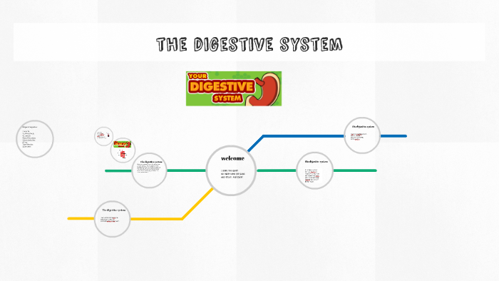 the digestive system by cooper P on Prezi