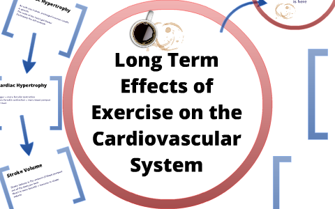 Long Term Effects Of Exercise On The Cardiovascular System By Stephen ...