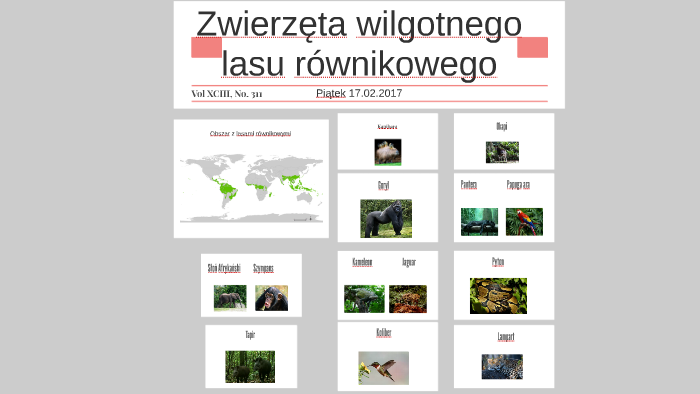 Zwierzęta Wilgotnego Lasu Równikowego Zwierzęta wilgotnego lasu równikowego by Zosia Krawczyk on Prezi