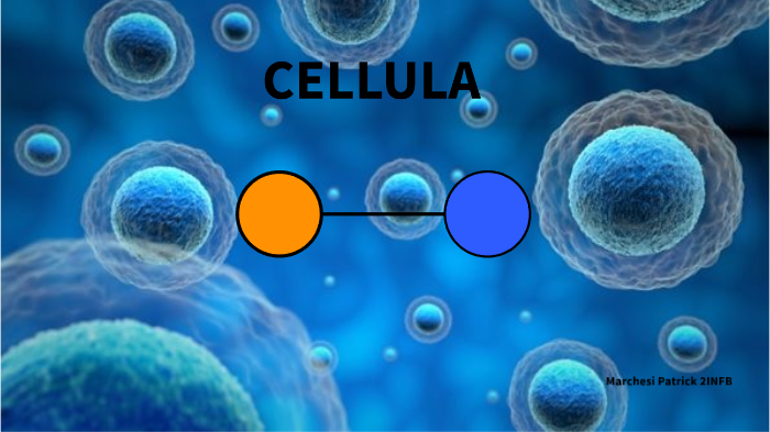 Cellula by Patrick Marchesi on Prezi