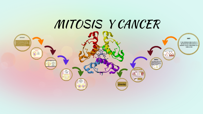 Mitosis Y El Cancer By Martha Osorio