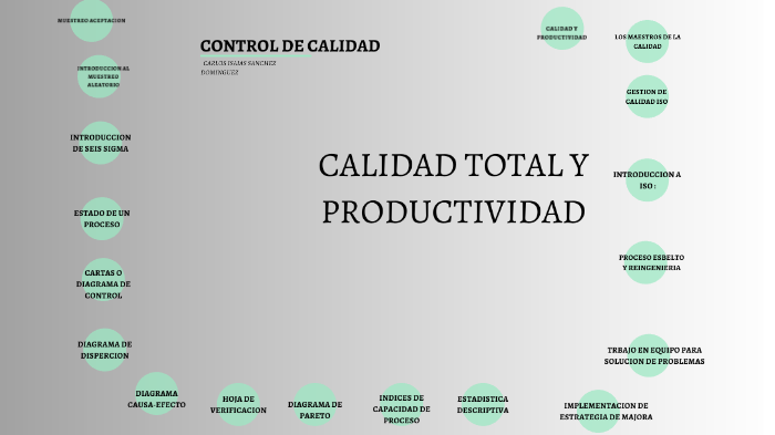 calidad total y productividad by Carlos Sanchez on Prezi