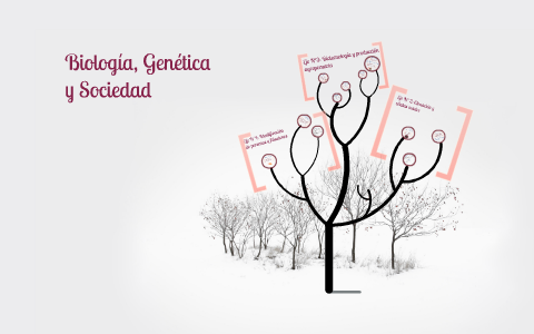 Biologia Genetica Y Sociedad By Erika Aguillon