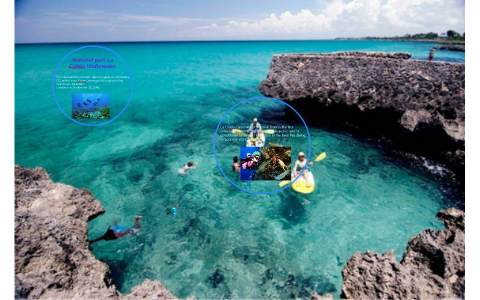 National park La Caleta Underwater. by joshua balcacer fis