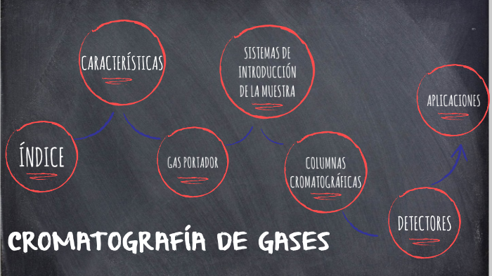 Cromatografia De Gases By Luisa Chaves Ramos On Prezi Next