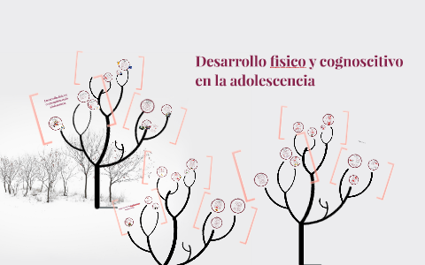 adolescencia desarrollo cognitivo