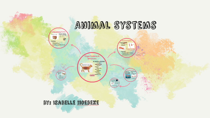Animal Systems by Isabelle Hoebeke on Prezi