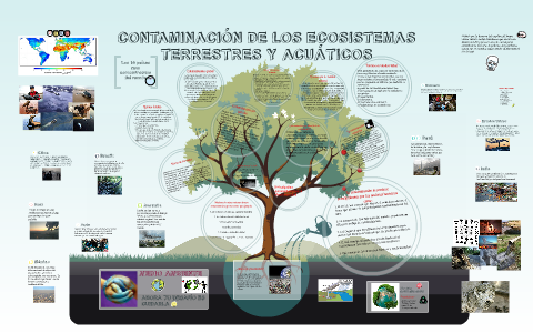 Contaminacion De Los Ecosistemas Terrestres Y Acuaticos By Natalia