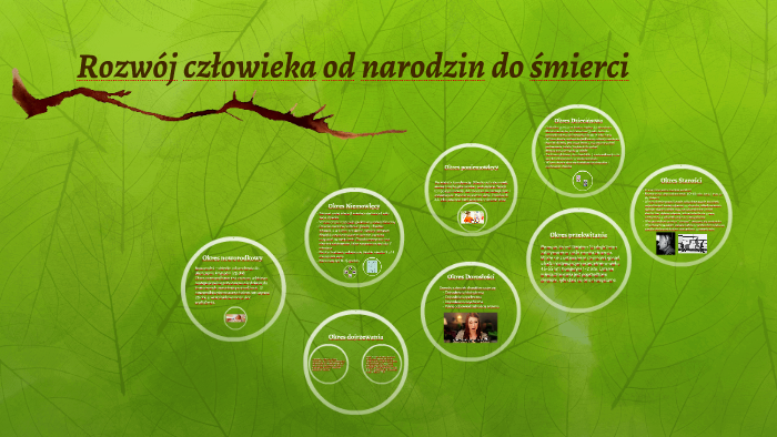 Rozwój Człowieka Od Poczęcia Do Narodzin