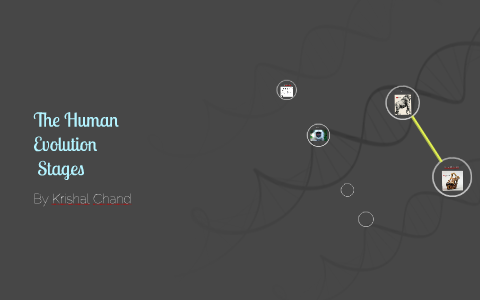 The Human Evolution by krishal chand on Prezi