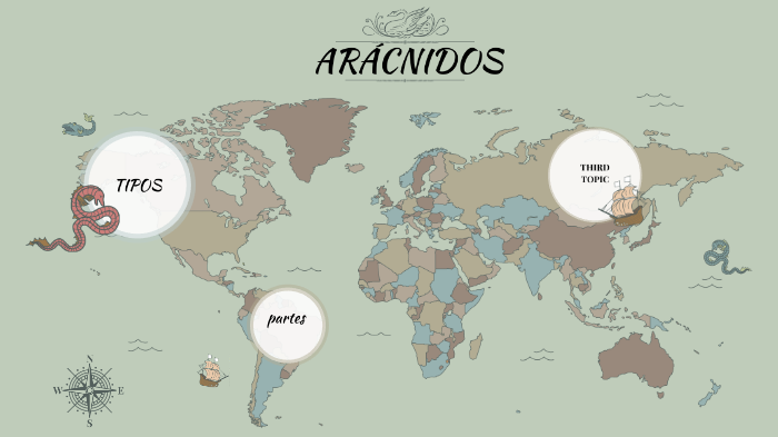 aracnidos by Sofía Orellana Chornyak on Prezi
