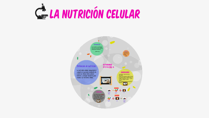 La Nutricion Celular By Edurne Agudo Giraldos On Prezi