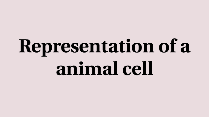 Representation of a Animal cell by Ashley Nguyen on Prezi