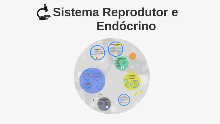 Sistema Reprodutor e Endócrino by Tulio Silva on Prezi