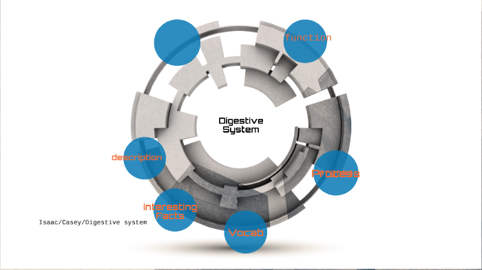 Digestive System by C K on Prezi
