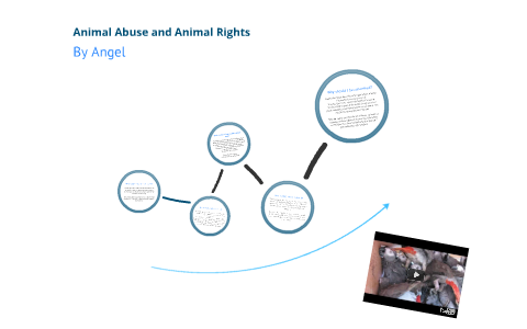 Animal Rights - Questions & Answers by Angel Maretis