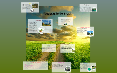 Vegetação do Brasil by larissa da silva on Prezi