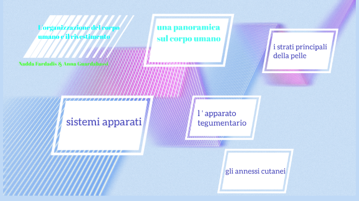 Lorganizzazione Del Corpo Umano E Il Rivestimento Nadda E