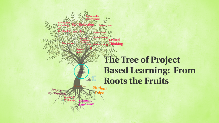 Social Learning Tree Roots The Tree of Project Based Learning: From Roots the Shoots by Jennifer ...