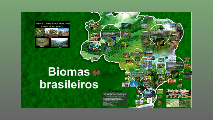 Biomas Brasileiros by Rafael Dos Anjos on Prezi