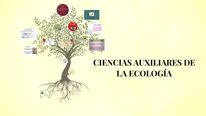 Ciencias Auxiliares De La EcologÍa By Alejandra Sierra Niño On Prezi