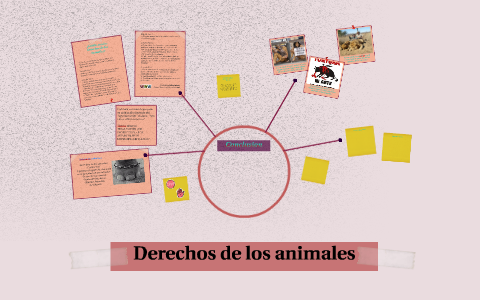 Derechos de los animales by Hannia Porras on Prezi