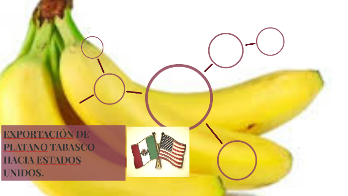 exportacion de platano tabasco hacia estados unidos by jose ruiz cortez