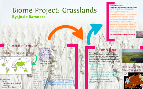 Grassland Biome Project By Josephine Barsness