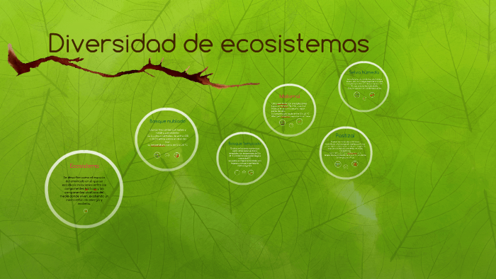 Diversidad de ecosistemas by Aylin Ordoñez Arroyo on Prezi