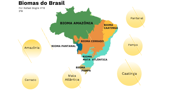 Biomas do Brasil por Rafael Bogre nº16 2ºB by Rafael Bogre on Prezi